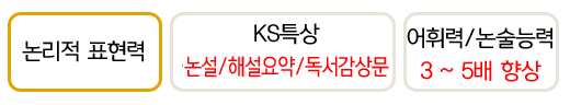 논리적 표현력